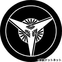 ���� ����