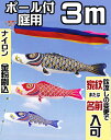 こいのぼり 庭用 ナイロン ゴールド 3m ガーデン用ポール付セット 金粉刷込