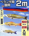 [PC]こいのぼり ベランダ用 黄金 金箔押 2m セット アルミ金箔入り ベランダ金具 または スタンド または 庭用ポール付