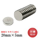 【5/1 ワンダフルデー 最大30％OFF】ネオジム磁石 ネオジウム磁石 20mm×5mm 丸型 ボタン型 超強力 強力 磁石 マグネット N35 永久磁石 磁力 DIY オフィス 事務所 倉庫 工業 建築 工場 送料無料 あす楽 領収書発行 まとめ買い (スターフォーカス)【30個セット】