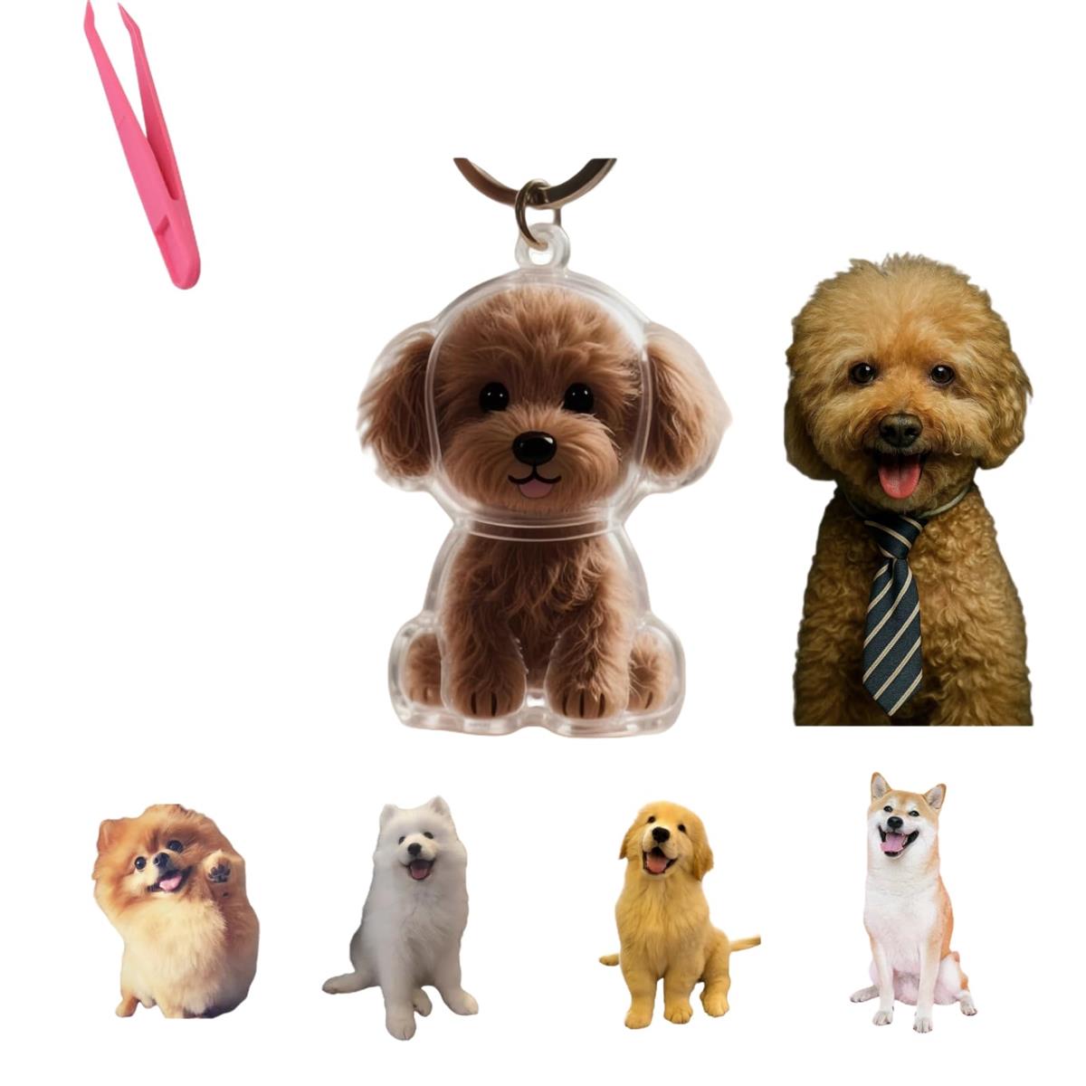 フルモデルチェンジ版 キーホルダー キーホルダーと毛のピックアップ付きのポータブルペットの毛の保管..