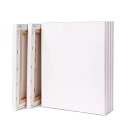 F3 6枚 セット キャンバス 張りキャンバス キャンバス画材 canvas 油絵・アクリル絵に適用 (273mm*220mm*6枚)