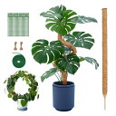 【当店限定!エントリーでポイント10倍】園芸 支柱 120cm モンステラ支柱 ココスティック DIY曲げる可能 観葉 つる性植物 植物 誘引 ガーデニング 農業用 園芸用