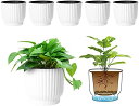 【当店限定!エントリーでポイント10倍】T4U 15CM 給水プランター プラスチック 植木鉢 現代風 観葉植物鉢 ハーブ鉢 花鉢 ホワイト 6点セットインテイ...