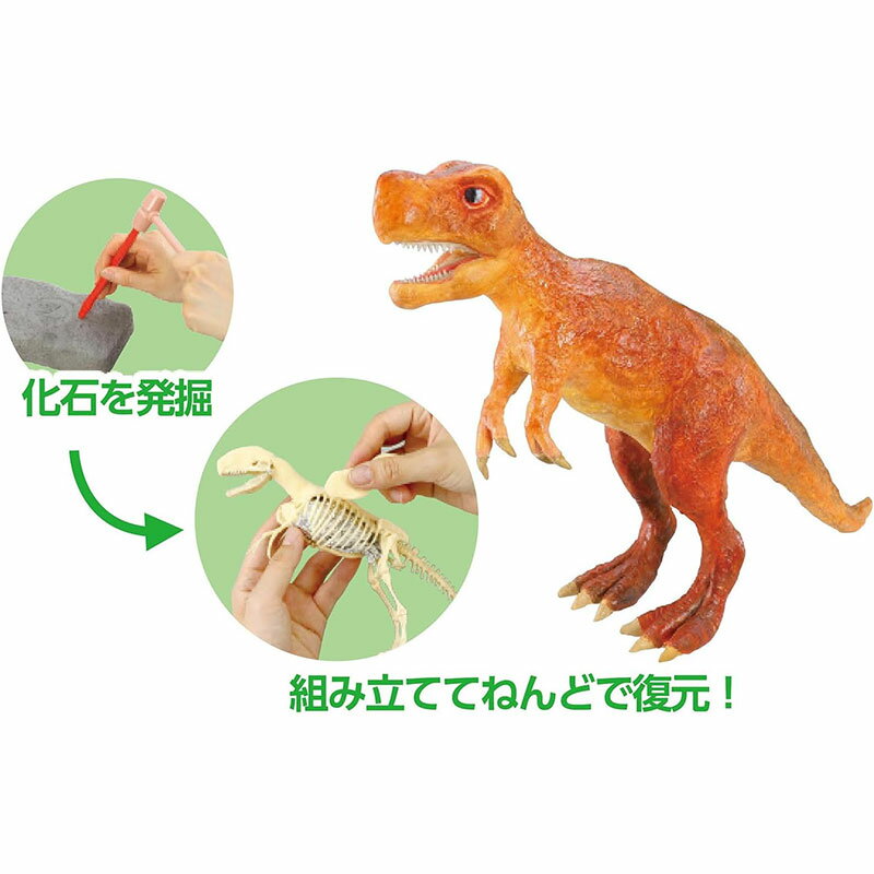 アーテック 化石発掘復元キット ティラノサウルス