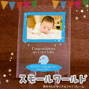 ベビー フォトフレーム 「スモールワールド」 / オーダーメイド 赤ちゃん記念品 名入れ / 出産祝い 出産内祝い ガラスフォトフレーム 写真L判用
