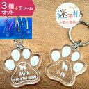 迷子札 ペット 名前【3個セット】【名入れ無料・送料無料】透明 アクリル 迷子札 文字入れ 彫刻 ギフト 名入れ 名入り 記念品 母の日 ギフト大好きなうちの子...