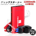 【2025年最新版 秒殺価格!】FISHERFANS FF1 ジャンプスターター 大容量 USB Type-C 12V 車用エンジンスターター 大容量12800mAh 小型軽量 最大電流1000A QDSP 応急 Type-C搭載 防災グッズ ポータブル充電器 防災グッズ スマホ急速充電 小型軽量 LED応急ライト搭載