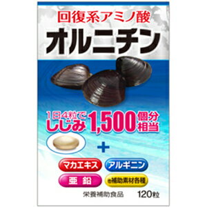 ◆商品説明 L-オルニチンは、"しじみ"の健康成分として今最も注目を集めている"次世代アミノ酸"！常に体内をめぐっていろいろな場面で活躍する欲張りタイプのアミノ酸です。 ◆成分 L-オルニチン、マカエキス末、亜鉛酵母、システイ ンペプチド含有酵母エキス、デンプン、結晶セルロ ース、クエン酸、ステアリン酸Ca、アルギ ニン、グルタミン、ナイアシン、パントテン酸Ca、V.B12、V.B2、V.B1、V.B6、葉酸、セラック