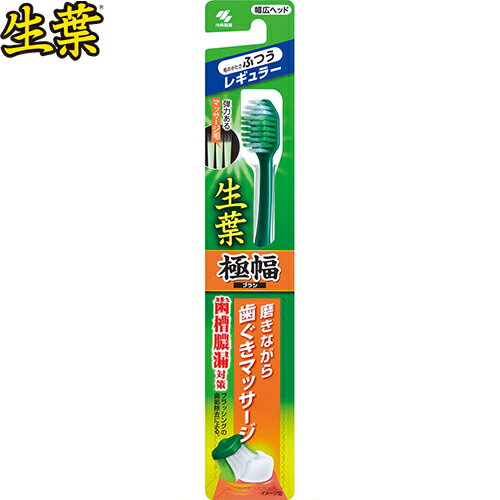 乐天商城 - 生葉極幅ブラシ ふつう 1本 ＊小林製薬 生葉 オーラルケア デンタルケア 歯ブラシ ハブラシ 歯磨き 歯みがき