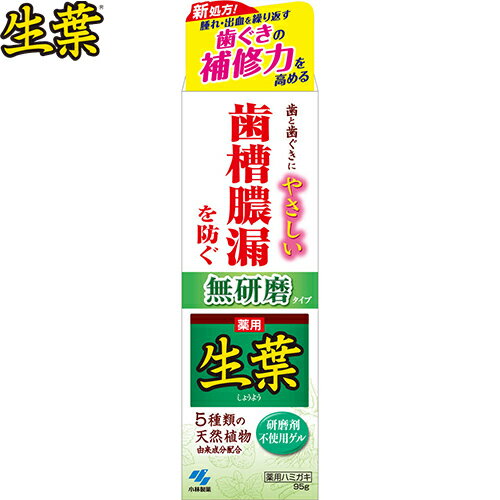 薬用生葉無研磨タイプ 95g *医薬部外品 小林製薬 生葉 オーラルケア デンタルケア 虫歯予防 歯みがき 歯磨き 歯磨き粉 薬用生葉無研磨タイプ 95g *医薬部外品 小林製薬 生葉 オーラルケア デンタルケア 虫歯予防 歯みがき 歯磨き 歯磨き粉