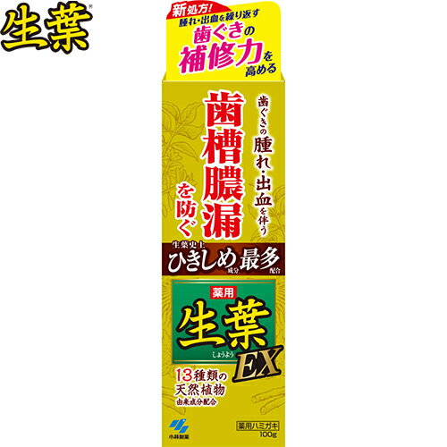 薬用生葉EX 100g ＊医薬部外品 小林製薬/歯ぐきの腫れ・出血を伴う歯槽膿漏を防ぐ/ひきしめ実感の歯周病歯磨き/13種類の天然植物由来成分配合/歯肉炎・歯周炎を防ぎます/口臭防止/歯を白くする/口中浄化/口中を爽快に