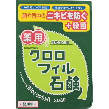 薬用クロロフィル石鹸 85g （医薬部外品） 【 黒龍堂 】[ にきびケア ニキビケア アクネケア ニキビ肌 ニキビ対策 低刺激 おすすめ ]