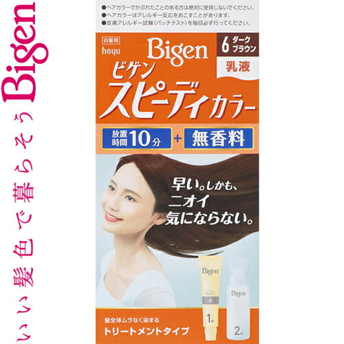 ビゲン スピーディーカラー 乳液 6- ダークブラウン 40g+60mL ＊医薬部外品 ホーユー Bigen ヘアカラー 白髪染め 白髪隠し