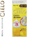 シエロ ムースカラー 2- より明るいライトブラウン 50g+50g *医薬部外品 ホーユー/指で押すだけ簡単にムースを出し手間なく髪全体を塗れる/きめ細かくクリーミーなムースが染めにくい白髪にも馴染みやすく見えない後ろまでムラなくきれいに染まります