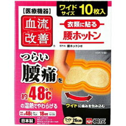 Z0005250-06910-血流改善腰ホットン