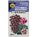 ジベラ 錠 5錠 *住友化学園芸/ぶどう(デラウェアなど)の無種子化、草花の生育促進に役立つ活力剤/ジベレリン