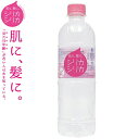 美いね! シリカシリカ 500mL×24 【 オンガネジャパ...