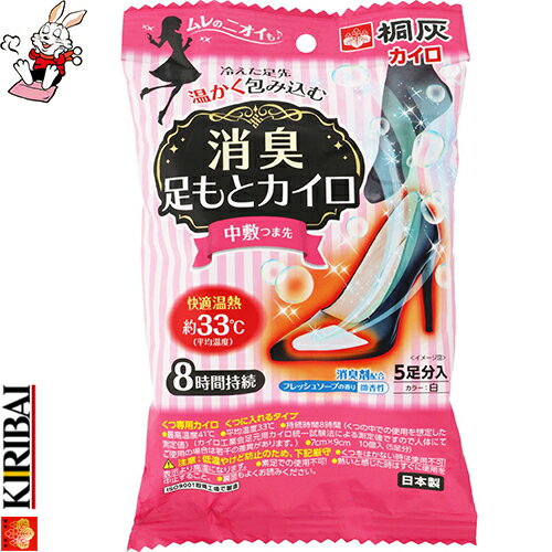 消臭足もとカイロ 中敷つま先用 フレッシュソープの香り 5足 【 桐灰化学 】[ カイロ 使い捨てカイロ 温熱用品 寒さ対策 リラックス おすすめ ]