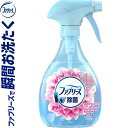 ファブリーズ W除菌 消臭スプレー ほのかなフラワーブロッサムの香り 本体 370mL ＊P&G ファブリーズ 衣類のお手入れ 除菌 抗菌 消臭