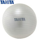 タニタサイズ ジムボール TS-952 シルバー 1個 【 ...
