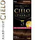 シエロ オイルインヘアマニキュア ナチュラルブラウン 100g+3g+10g *ホーユー CIERO ヘアカラー おしゃれ染め カラーリング