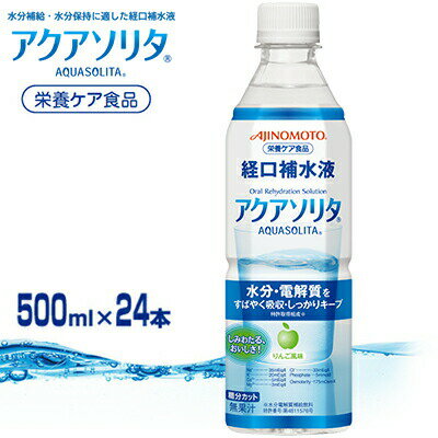 ANA\^ 500mL~24{ ̑f ANA\^ o␅t MǑ΍ EǏ ⋋