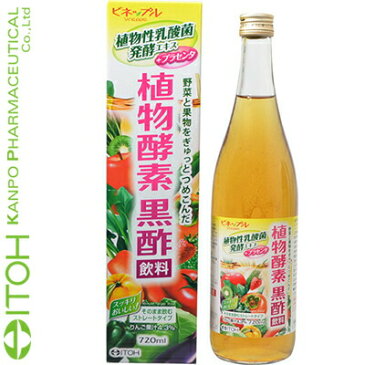 ビネップル りんご酢飲料 720mL 【 井藤漢方製薬 】[ サプリ サプリメント 美容サプリ 健康維持 香酢 もろみ酢 黒酢 おすすめ ]