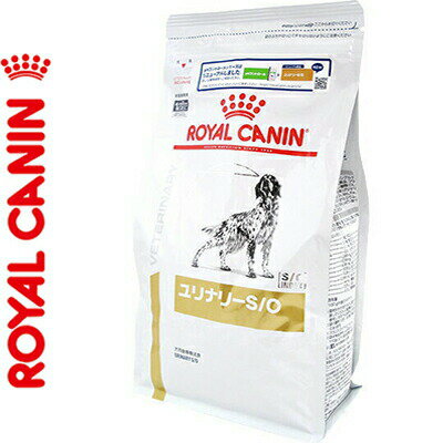 CJi i[S/O hC p 3kg ROYAL CANIN xei[_CGbg ybgt[h h{oX HÖ@H :pHRg[ hbOt[h