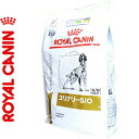 CJi i[S/O hC p 8kg ROYAL CANIN xei[_CGbg ybgt[h h{oX HÖ@H :pHRg[ hbOt[h