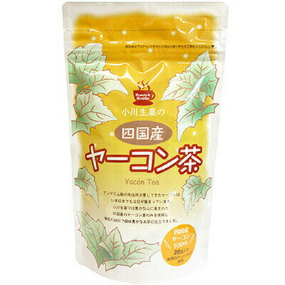 四国産ヤーコン茶 1.5g×20袋 （小川生薬 健康茶 カテキン 食物繊維 ダイエット）