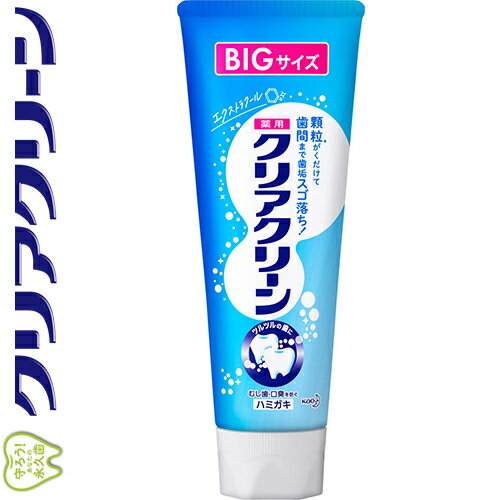 クリアクリーン エクストラクール BIGサイズ 170g ＊医薬部外品 花王 Clear Clean オーラルケア デンタルケア 虫歯予防 歯みがき 歯磨き 歯磨き粉