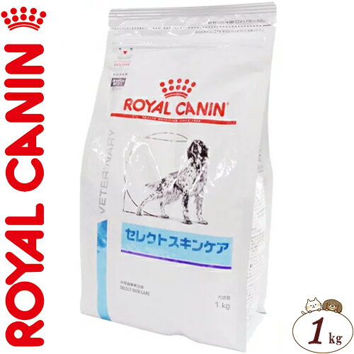 CJi ZNgXLPA hC p 1kg ROYAL CANIN xei[_CGbg ybgt[h h{oX HÖ@H hbOt[h