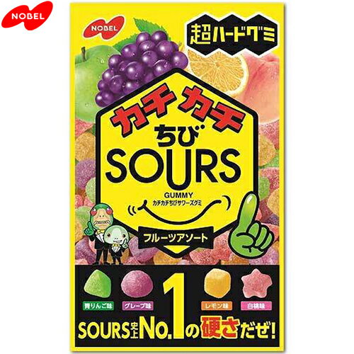 カチカチちびサワーズ フルーツアソート 80g ＊ノーベル製菓 お菓子 ガム グミ ソフトキャンディ