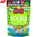 2層カメカメサワーズ マスカット 45g ＊ノーベル製菓 お菓子 ガム グミ ソフトキャンディ