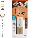 シエロ ワンデー 白髪かくし ナチュラルブラウン 9mL *ホーユー CIERO ヘアカラー 白髪染め 白髪隠し