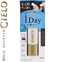 シエロ ワンデー 白髪かくし ナチュラルブラック 9mL *ホーユー/パステルカラーで手に取りやすい/おしゃれなパッケージ/根元からとかすだけ/地肌を汚さず/サッと塗れる簡単クシ型マーカー/お出かけ前に便利な速乾タイプ/自然な仕上がり