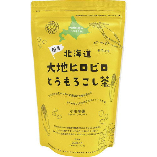 北海道大地ヒロビロとうもろこし茶 100g ＊小川生薬 健康茶 カテキン 食物繊維