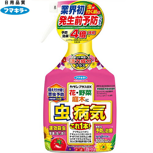 J_vXDX 1000mL t}L[ J_ K[fjO | Q΍ Q쏜 aC\h