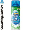 スクラビングバブル 激泡ガラスクリーナー クルー 480mL ＊ジョンソン Scrubbing Bubbles 掃除用品 網戸 ガラスクリーナー