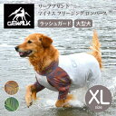 【GEWALK ジウォーク】【2025年モデル】リーフプリント マイナス フリージング ロンパース XLサイズ オレンジ,グリーン 冷感 ラッシュガード ドッグ...