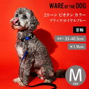 【WARE OF THE DOG ウェアオブザドッグ】2トーン ビオタン カラー ブラック/ロイヤルブルー Mサイズ 首輪 カラー ウェア オブ ザ ドッグ アメリカ製 正規取扱店【ペット】【お散歩グッズ】