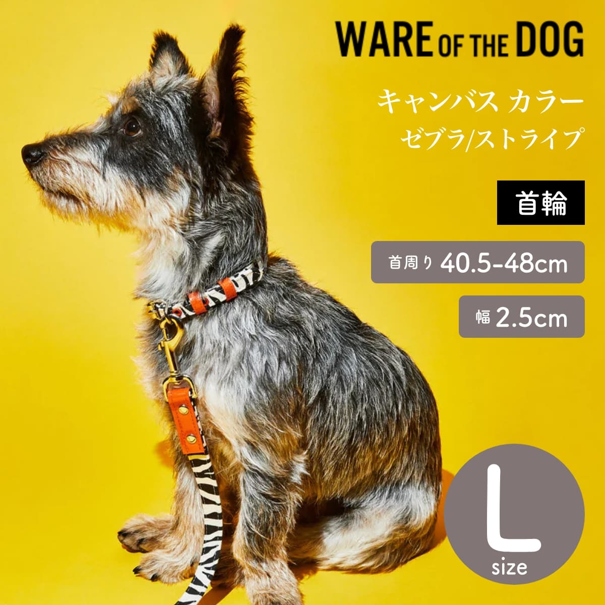 楽天Starry shop-R【WARE OF THE DOG ウェアオブザドッグ】キャンバス カラー ゼブラ/ストライプ Lサイズ 首輪 カラー ウェア オブ ザ ドッグ アメリカ製 正規取扱店【ペット】【お散歩グッズ】