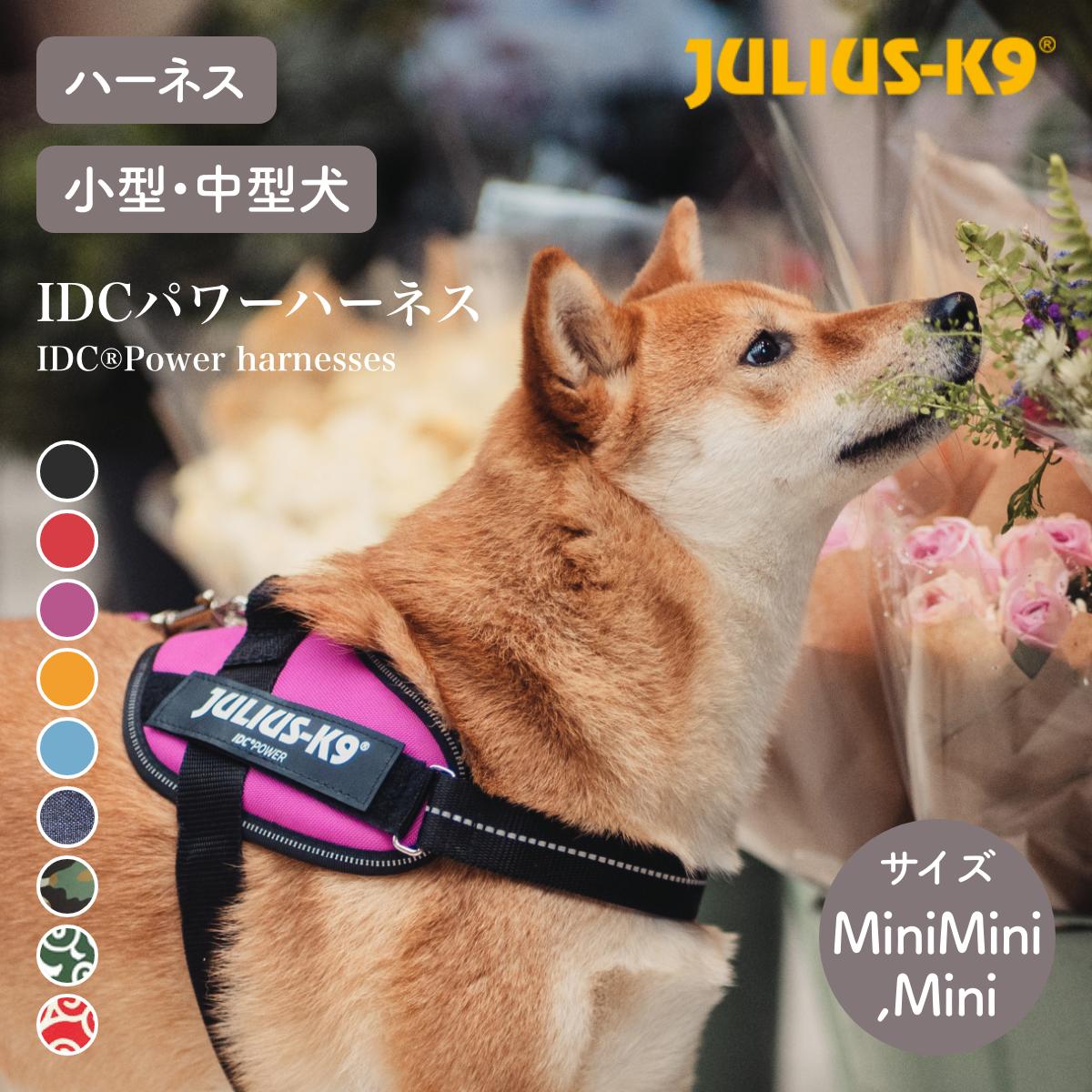 IDCパワーハーネス IDC®Power harnesses Mini Mini / Mini カラー9色 ハーネス 小型犬 中型犬