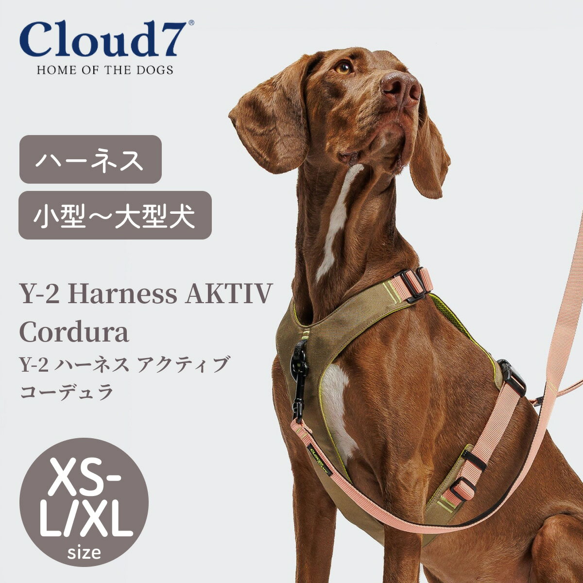 乐天商城 - 【Cloud7 クラウドセブン】Y-2 ハーネス アクティブ コーデュラ ピーチ 小型犬 中型犬 大型犬 胴輪 犬 ドッグハーネス Y型 CORDURA 高耐久 メッシュ 通気性 速乾 頭を通さない 着脱簡単 お散歩 おしゃれ カニクロス 高級 ブランド 海外直輸入【ペット】【サイズ交換対応】