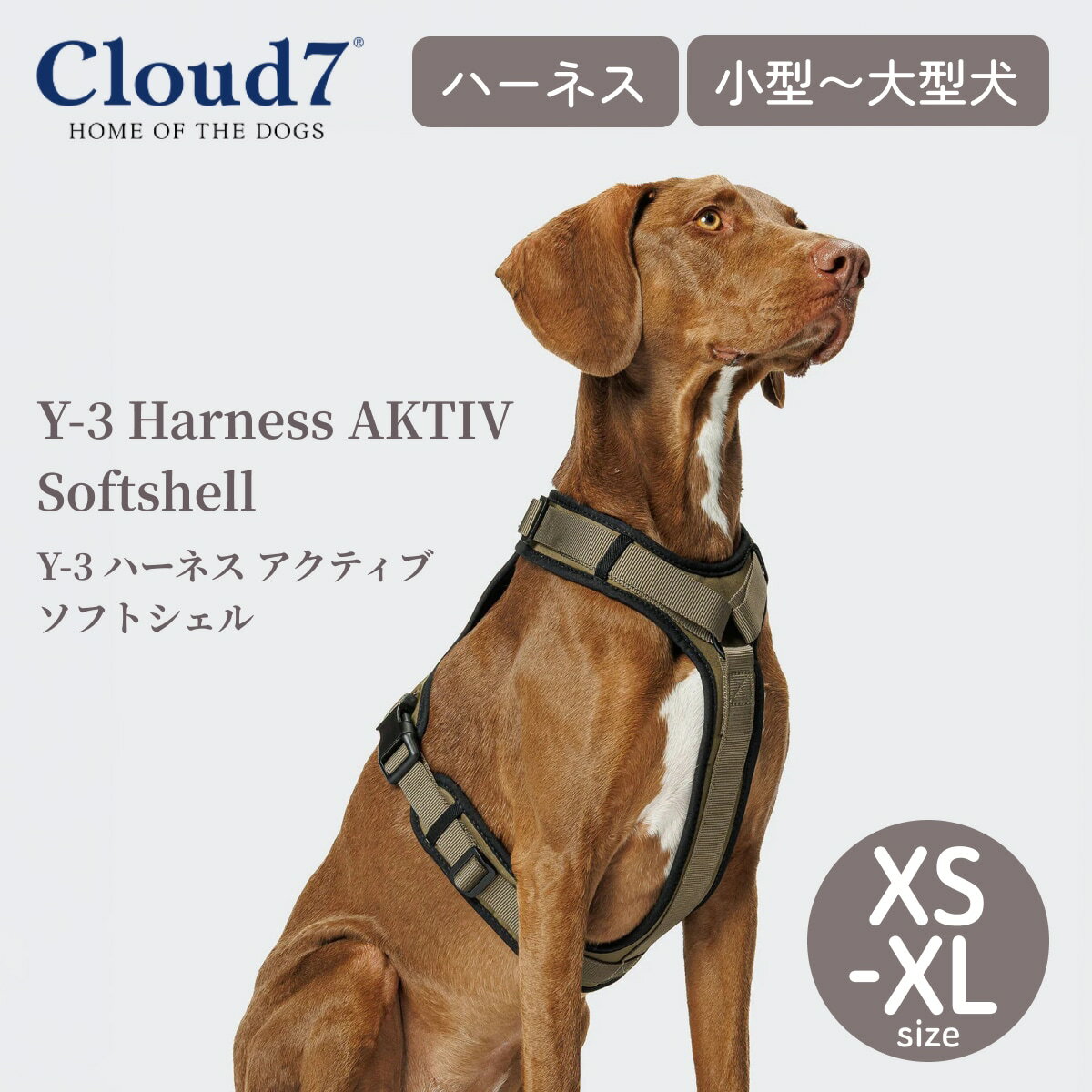乐天商城 - 【Cloud7 クラウドセブン】Y-3 ハーネス アクティブ ソフトシェル オリーブ 小型犬 中型犬 大型犬 胴輪 犬 ドッグハーネス Y型 軽量 ネオプレン クッション 頭を通さない 着脱簡単 お散歩 ドッグスポーツ カニクロス 高級 ブランド 海外直輸入【ペット】【サイズ交換対応】
