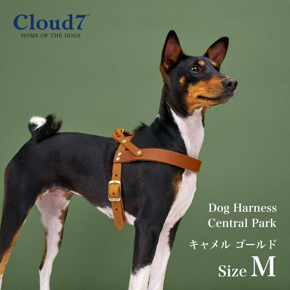 ϡͥ Cloud7 饦7 ϡͥ ȥѡ   M Central Park Camel Gold ľ͢