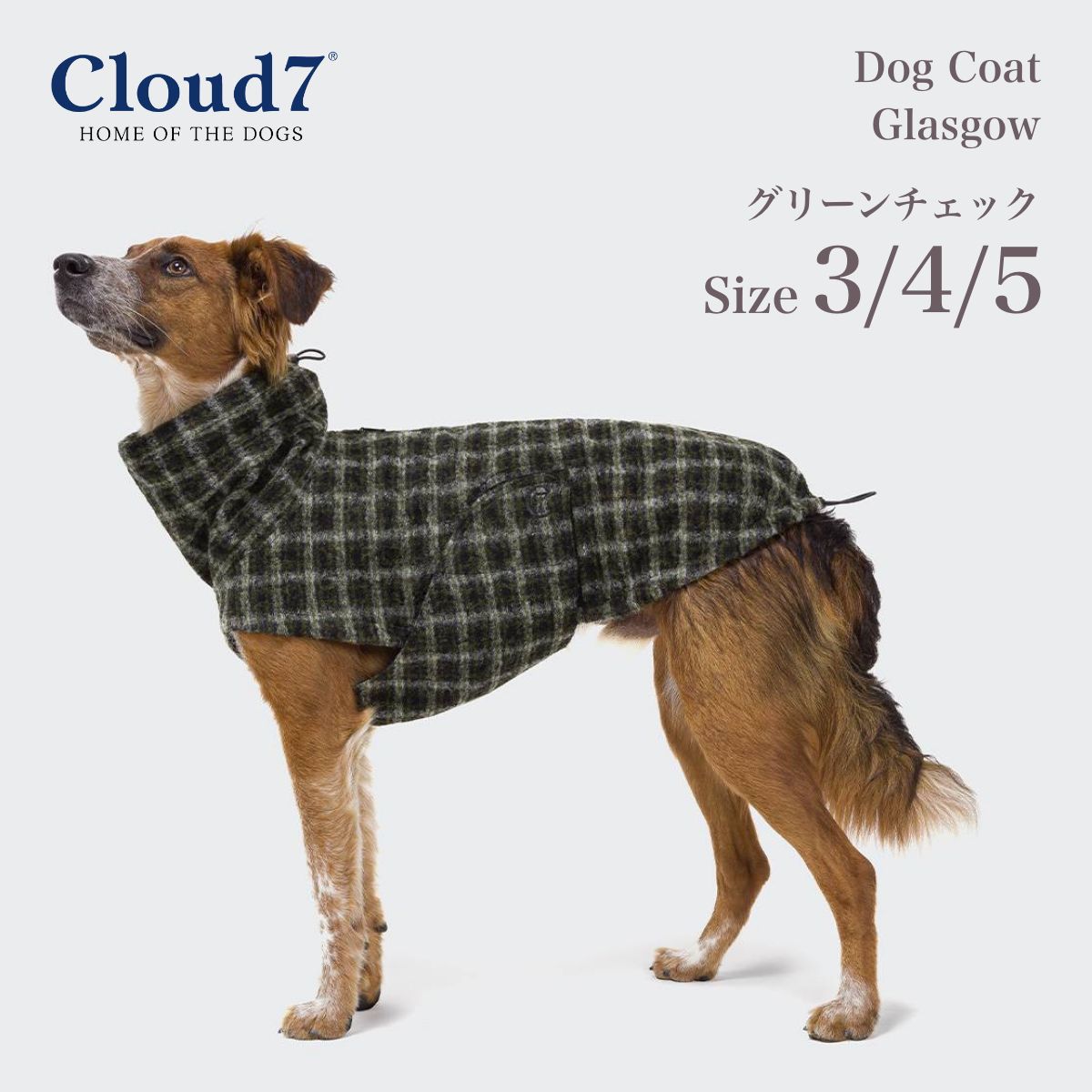 ѥ Cloud7 饦7 饹 ꡼å SIZE3/4/5 Dog Coat Glasgow Plaid Green ڥåѥ 쥤󥳡 ľ͢