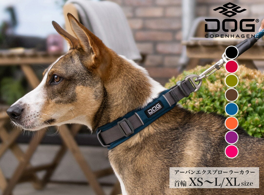  カラー アーバンエクスプローラーカラー XS・S・M・L/XLサイズ　ドッグコペンハーゲン (DOG Copenhagen) 