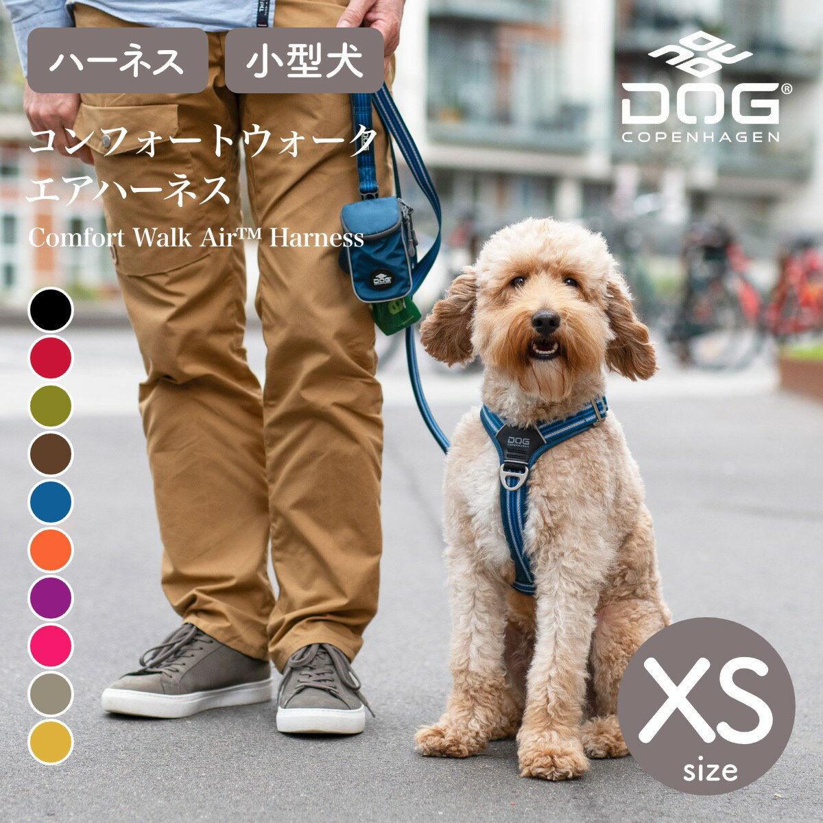 Ź2024ǯǥۥɥåڥϡDOGCopenhagenեȥϡͥXS顼8ʶ34-46cm˥ϡͥڥڥåȡۡڤ⥰åۡڥб